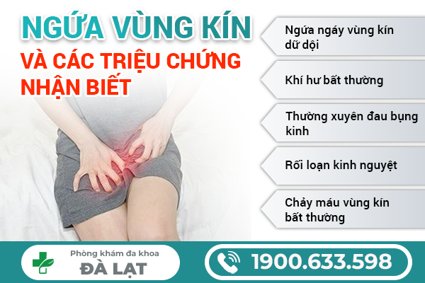Hình ảnh minh họa